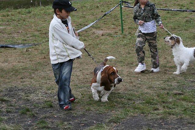 IMG_7769 (1).JPG