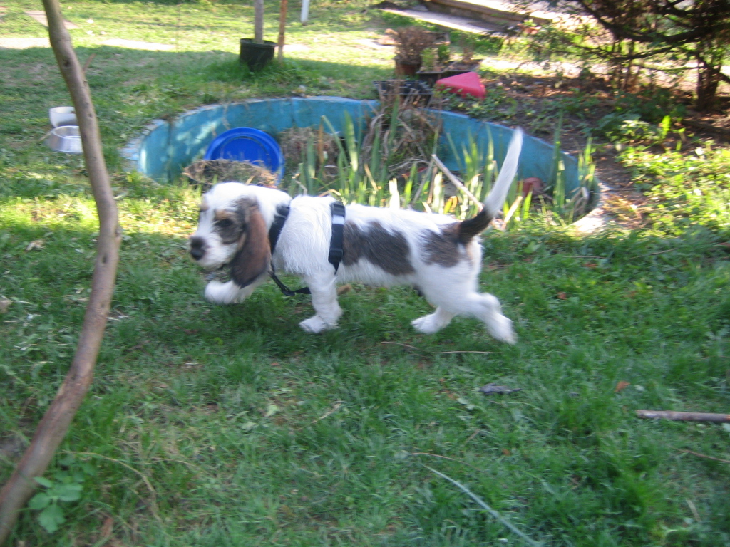 Arčí 15.4.2009 113.JPG