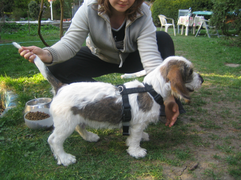 Arčí 15.4.2009 122.JPG