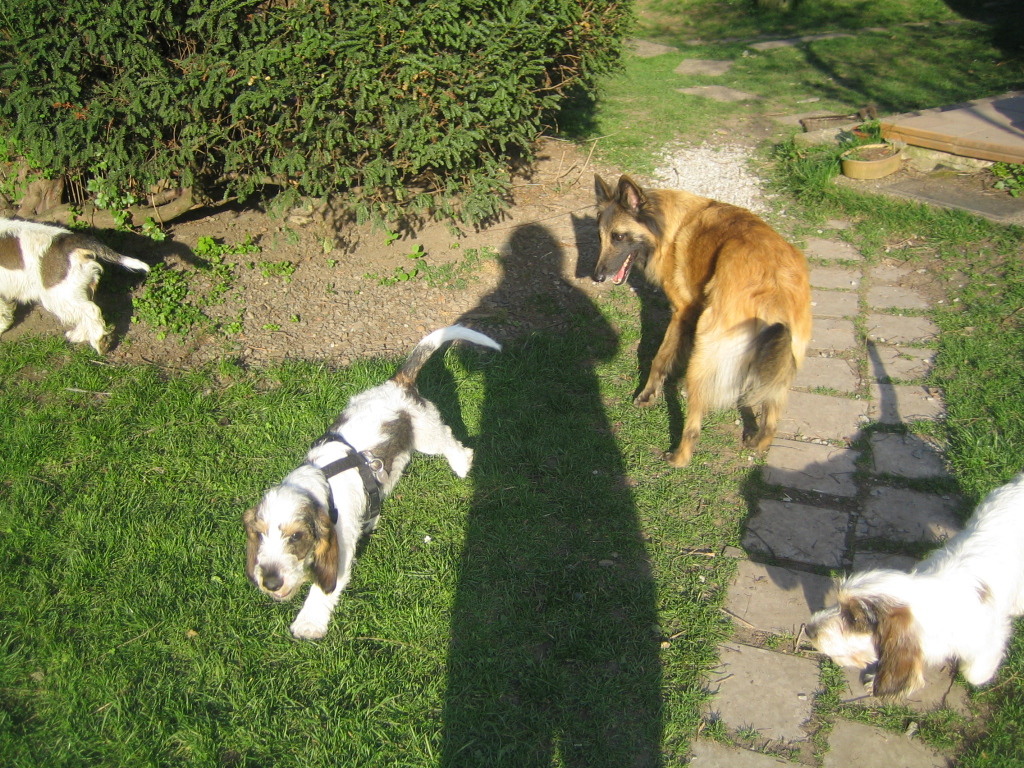 Arčí 15.4.2009.JPG