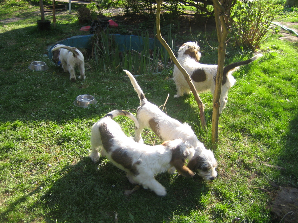 rodinka 15.4.2009 147.JPG