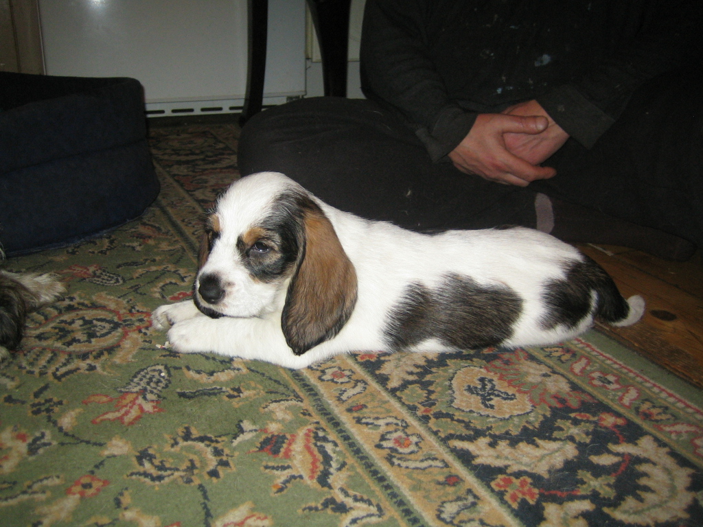 16.2.2009 Archibald  020.JPG